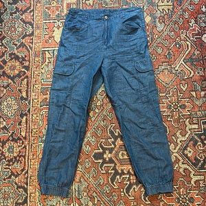 American Eagle Jean Joggers 12L